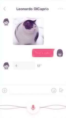 ddos攻防软件程序维护界面